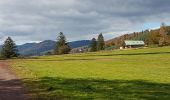 Tour Wandern Schirmeck - Schirmeck - sentier du Colbéry - Photo 6