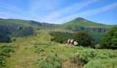 Tour Wandern Lavigerie - Cantal - La Gravière - Les Fours de Peyre-Arse - 18.9km 760m 8h05 (30mn) - 2019 07 04 - Photo 3