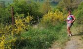 Tocht Noords wandelen Doische - Adeps Gochenée  - Photo 4