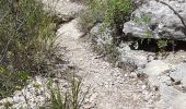 Excursión Senderismo La Faurie - les marmites du Diable - Photo 7