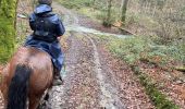 Trail Horseback riding Bièvre - Graide manege 10km ZZW - Photo 2