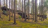 Percorso A piedi Neualbenreuth - Neualbenreuth: In einem Tag durch das Fraisch-Gebiet - Photo 3