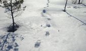 Trail On foot Unknown - Hällmarksslingan - Photo 6