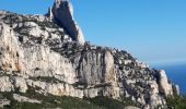 Excursión Senderismo Marsella - Massif du Puget grande Candelle - Photo 5