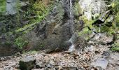 Excursión Senderismo Soultzeren - lac vert, lac du forlet - Photo 3