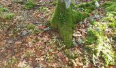 Trail Walking Corrençon-en-Vercors - champignon2 - Photo 2