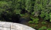 Tour Zu Fuß Rascafría - [RV 5.2] Mirador de los Robledos - Photo 1