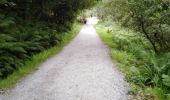 Trail Walking Conamara Municipal District - connemara national park - diamond hill - Photo 16