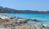 Randonnée Marche Santo-Pietro-di-Tenda - sentier côtier entre la plage du Lotus et Sallecia - Photo 1