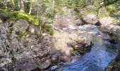 Trail Walking Cauterets - 65-raillere-cascades-11km-480m - Photo 4