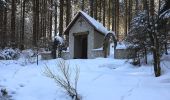 Tour Zu Fuß Steinbach am Wald - Buchbacher-Weg - Photo 2