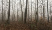 Trail On foot Nandrin - Les rochettes Bois des dames - Photo 6