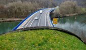 Percorso A piedi Schönbrunn - Rundwanderweg Neckaralm 2: Moosbrunn-Weg - Photo 8