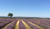 Tour Wandern Rocamadour - Rocamadour cougnaguet calouet - Photo 1