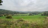 Excursión Senderismo Durbuy - Durbuy belle boucle depuis le centre - Photo 2