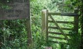 Excursión A pie South Somerset - Macmillan Way West - Photo 4