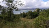 Randonnée Marche La Trinité - La Breche Granjean-Morne Pavillon en boucle  - Photo 8