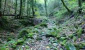 Trail Walking Saou - La Grande Combe en Forêt de Saoû - Photo 2