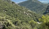 Trail Horseback riding Lauris - Provence 2025 J1 - Photo 1