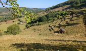 Randonnée Marche Saint-Christophe-Vallon - le puech du cayla - Photo 1