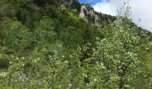 Tour Wandern Saint-Nizier-du-Moucherotte - Un petit AR sur le sentier du Périmètre  - Photo 12