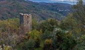 Tocht Te voet San Marcello Piteglio - Cammino di S. Bartolomeo - Photo 3