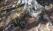 Excursión A pie Chiusi della Verna - Il Sacro Monte della Verna e la cima del M. Penna - Photo 6