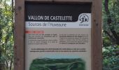Trail Walking Plan-d'Aups-Sainte-Baume - L'huveaune - Photo 6