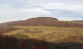 Tour Zu Fuß Ehrenberg - Wüstensachsen, Rundweg 10 - Photo 2