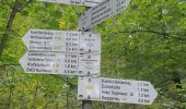 Trail On foot Unknown - Gaggenau - Ebersteinburg - Photo 5