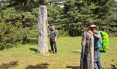 Tour Wandern Chanac - Rando..Chanac..Causses de Sauveterre..16/05/2024 - Photo 12