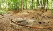 Tour Zu Fuß Hamminkeln - Ringenberg Rundweg A4 - Photo 8