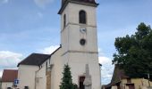 Tour Wandern Cerre-lès-Noroy - Grand bois de Cerre les Noroy - Photo 1