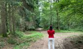 Trail Walking Renwez - Parc naturel régional des Ardennes - Photo 2