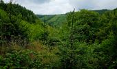 Excursión Senderismo La Roche-en-Ardenne - Balade à Maboge - La Roche en Ardennes - Photo 5
