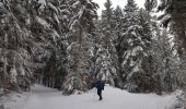 Tocht Sneeuwschoenen Corrençon-en-Vercors - Vers le Pas Ernadant et ses cabanes - Photo 1