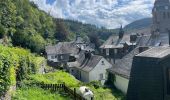 Excursión Senderismo Monschau - Autour et dans Monschau - Photo 13