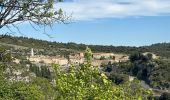 Trail  Minerve - Minerve bouclé Hérault  - Photo 1