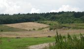 Trail On foot Łagiewniki - Łagiewniki-Strzelin - Photo 4