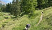 Trail Walking Ceillac - La cascade - Ceillac A/R - Photo 4