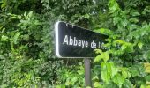 Percorso A piedi Sainte-Mesme - Boucle en forêt de Dourdan au départ de Sainte Mesme - Photo 10