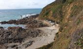 Trail Walking La Hague - Herquemoulin-Cap de la Hague  - Photo 3