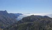 Randonnée Marche Marseille - 2023-04-16 Calanques de Sormiou et de Sugiton - Photo 5