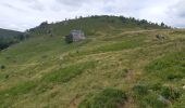 Trail Walking La Bresse - Le Hohneck et ses lacs d'altitude - Photo 13