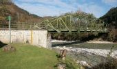 Tour Zu Fuß Gemeinde Göstling an der Ybbs - Rundwanderweg 6 - Photo 10