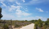 Tour Radtourismus  Saintes-Maries-de-la-Mer - Stes Maries de la Mer  -  Sète - Photo 8