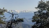Trail Walking Bayons - BAYONS  . col des Sagnes , Peyrouret , Picouse , bergerie de Gautiere , Piaure , Giaire n - Photo 16