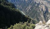 Trail Walking La Palud-sur-Verdon - col plein voir - Photo 10