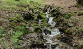 Excursión Senderismo Tournavaux - Blossette la gyre et la lyre - Photo 5