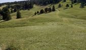 Trail Walking Saint-Agnan-en-Vercors - jour 1 Sommet de Peyre rouge  - Photo 9